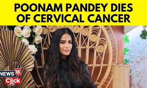 punam pandey|Bollywood actor and model Poonam Panday dead at 32